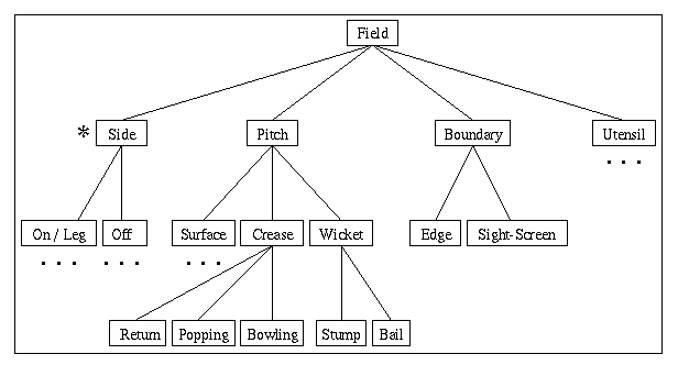 Fig.3 Taxonomy of Terms Related to the Cricket Field