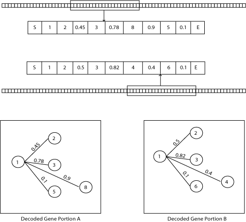 Genotypic diversity measure