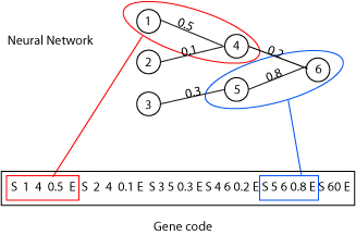 Neural Network Encoding