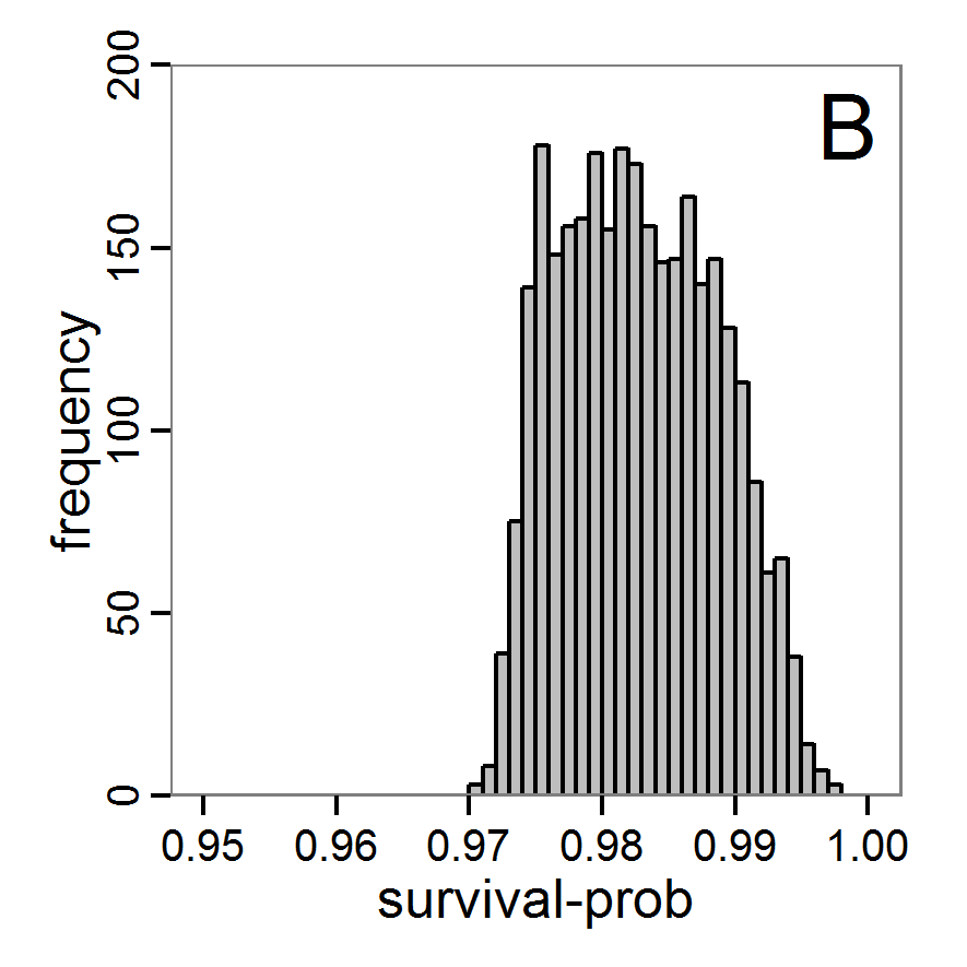 Figure 10b