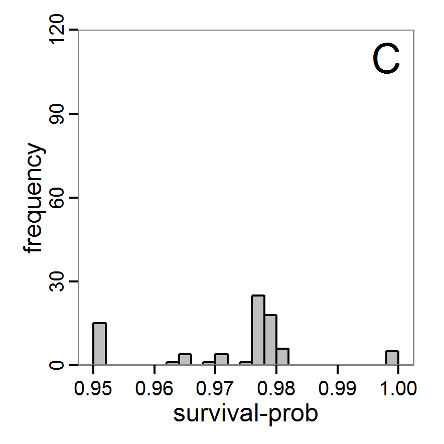 Figure 4c