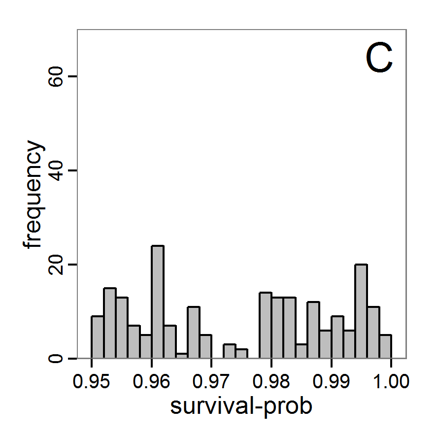 Figure 6c