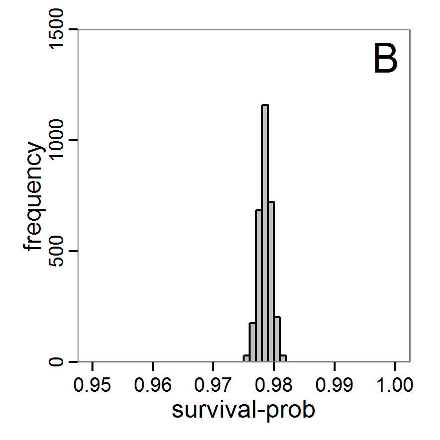 Figure 9b