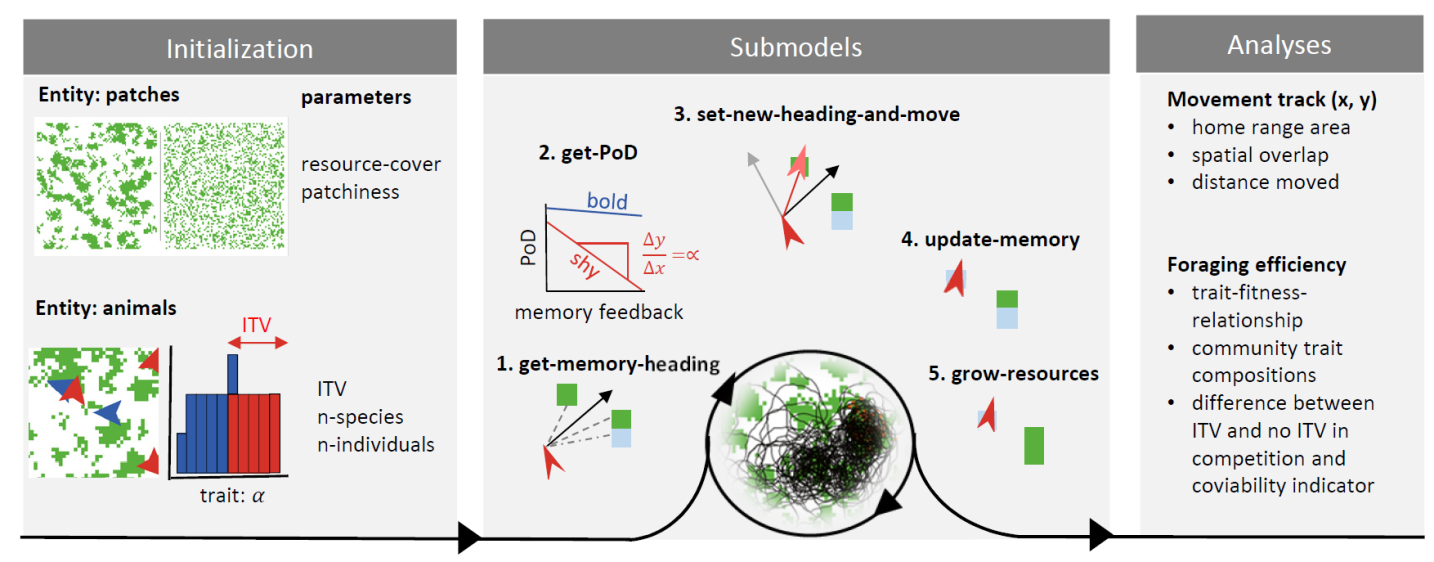 the-odd-protocol-for-describing-agent-based-and-other-simulation-models