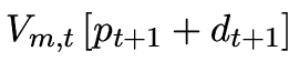 $ V_{m,t} \left[ {p_{t + 1} + d_{t + 1} } \right]$