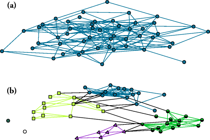 Example networks of the ER and seceder models
