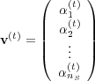      (      )
        α(t)
     ||  α1(t) ||
v(t) = ||  2.  ||
     (   ..  )
        α(nt)S
